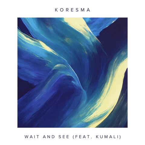 Wait and See album art