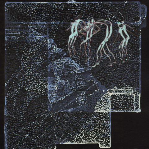 for body album art
