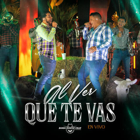 Al Ver Que Te Vas album art