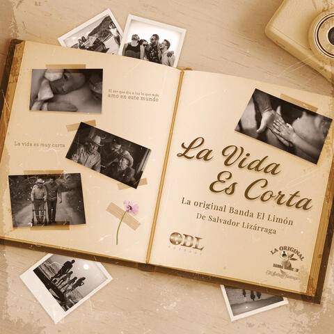 La Vida Es Corta album art