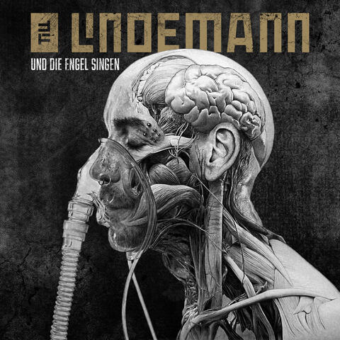 Und die Engel singen album art