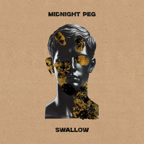 Swallow album art