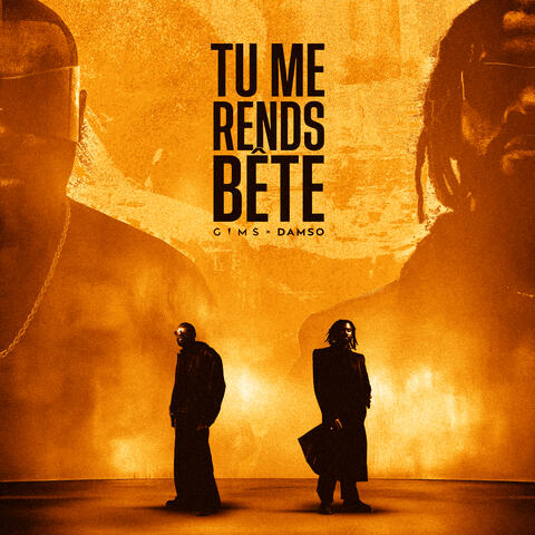 TU ME RENDS BÊTE album art
