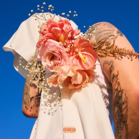 Euphoria album art