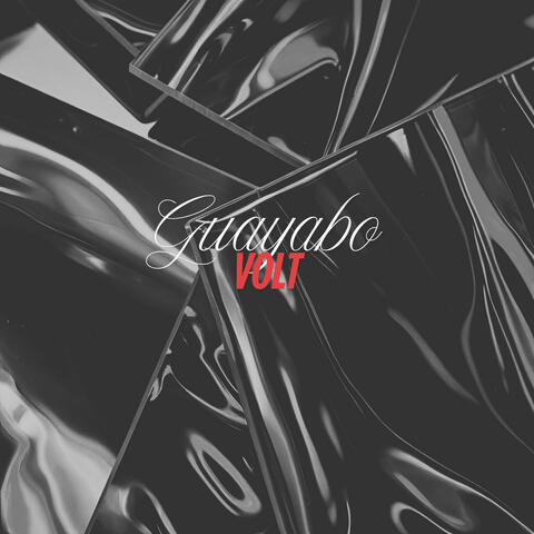 Guayabo album art