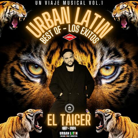 Un Viaje Musical Vol. 1 - Urban Latin Best Of - Los Exitos del Taiger album art