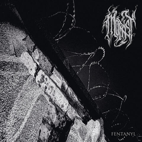 Fentanyl album art