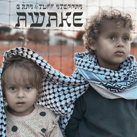 Awake album art