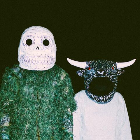 A Joy So Slow At Times I Don't Think It's Coming album art