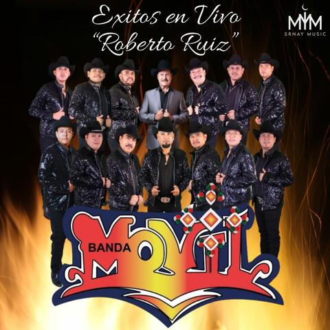 Éxitos En Vivo album art