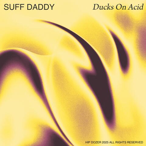 Ducks On Acid album art