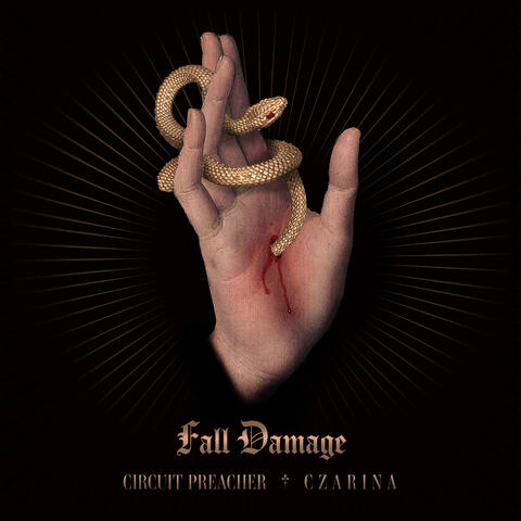 Fall Damage album art