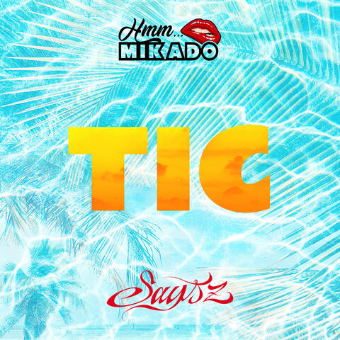 Tic album art