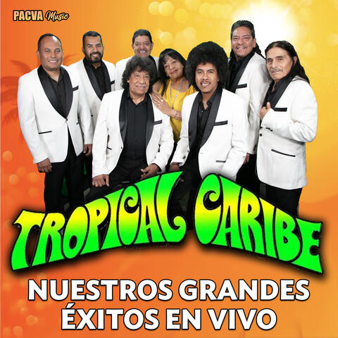 NUESTROS GRANDES EXITOS EN VIVO album art