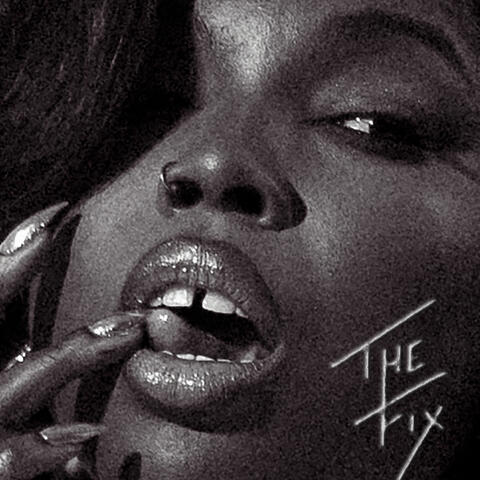 The Fix album art