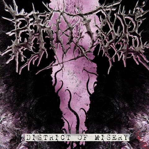 DISTRICT OF MISERY album art