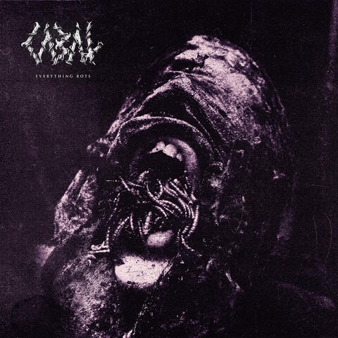 Everything Rots album art