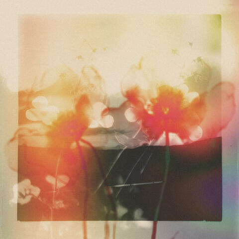 Akin / Mother album art