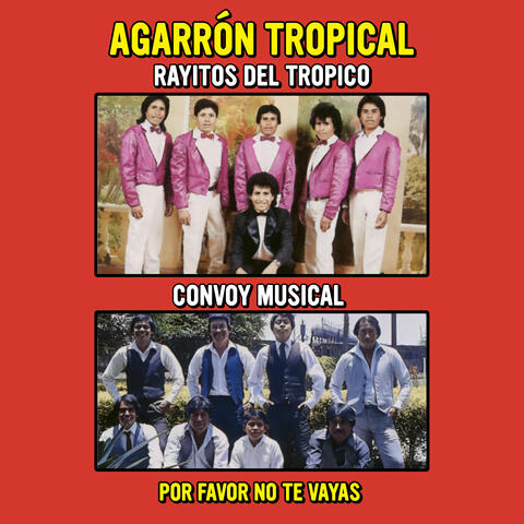 ¡Agarrón Tropical! Por Favor No Te Vayas album art
