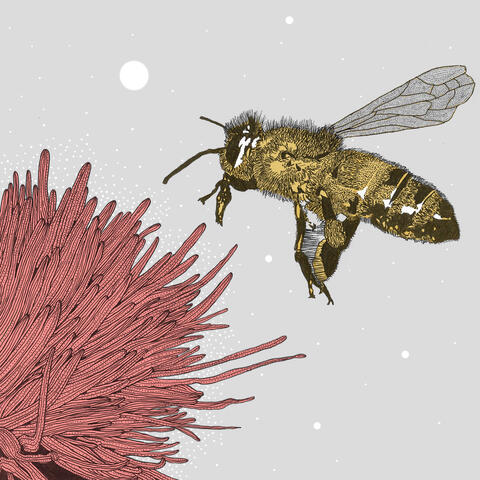 Nectar album art