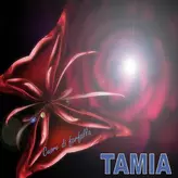 Image of Cuore di farfalla
