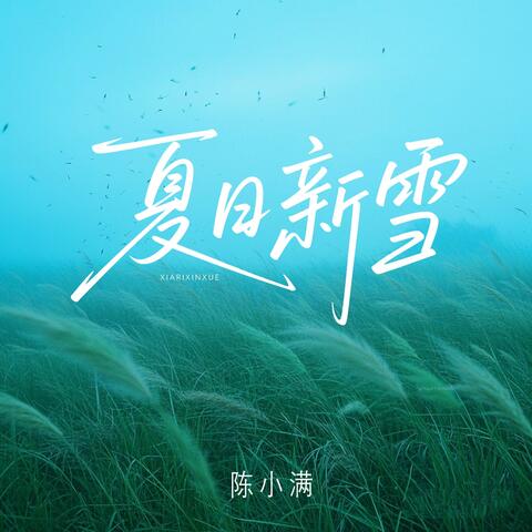 夏日新雪 album art