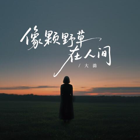 像颗野草在人间 album art