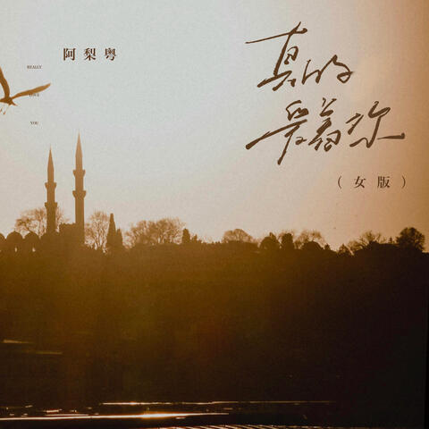 真的爱着你 album art