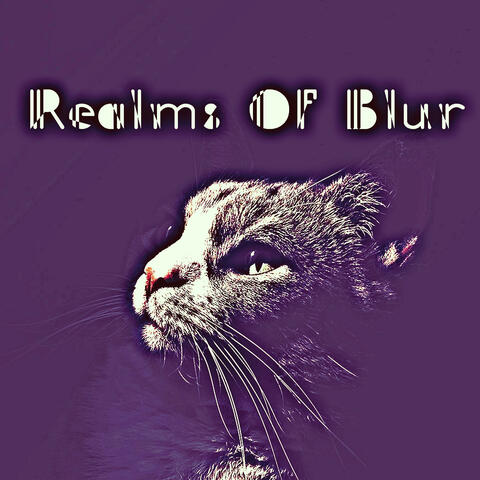 Realms Of Blur album art