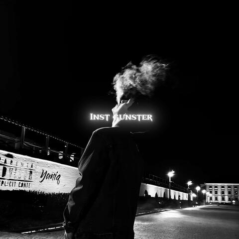 Inst gunster album art