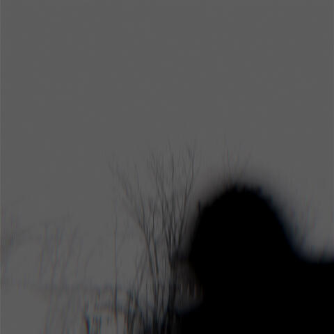 Asylym album art