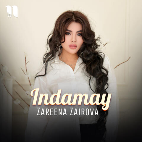 Indamay album art