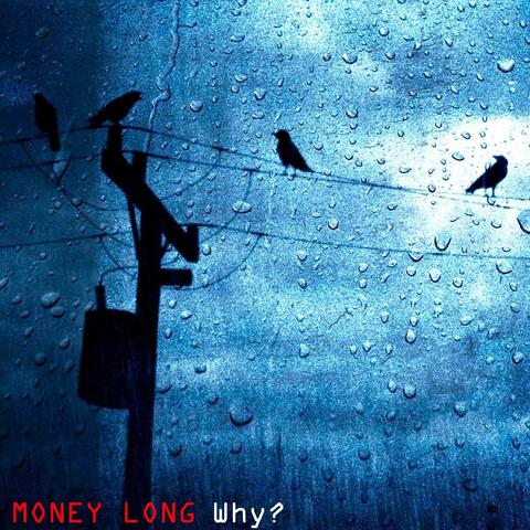 why? album art