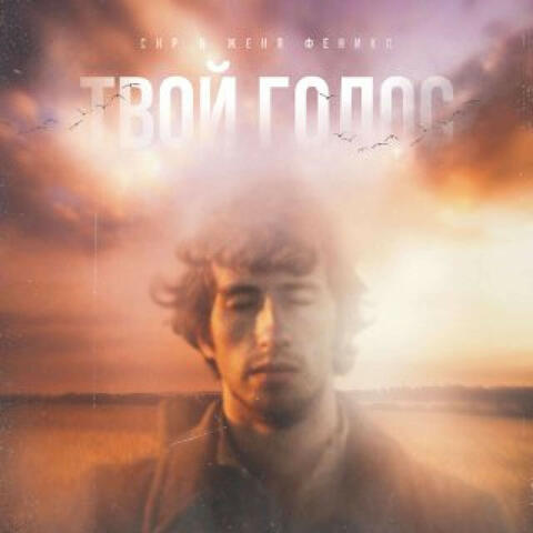 твой голос album art