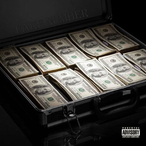 FAKE NUMBER album art
