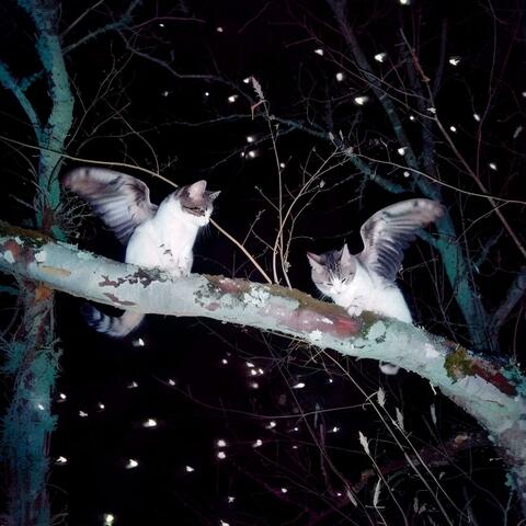 memories// album art