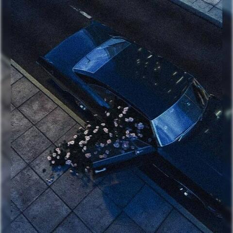 Цветы album art