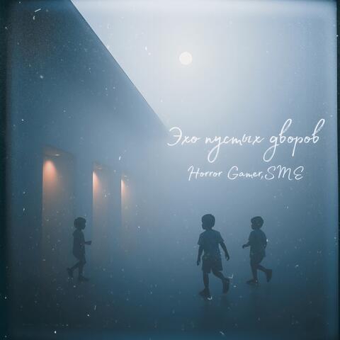 Эхо пустых дворов album art