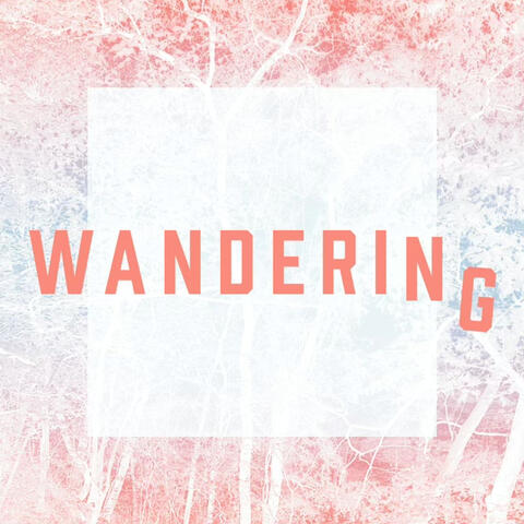 Wandering album art