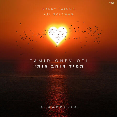 Tamid Ohev Oti (feat. Ari Goldwag) album art