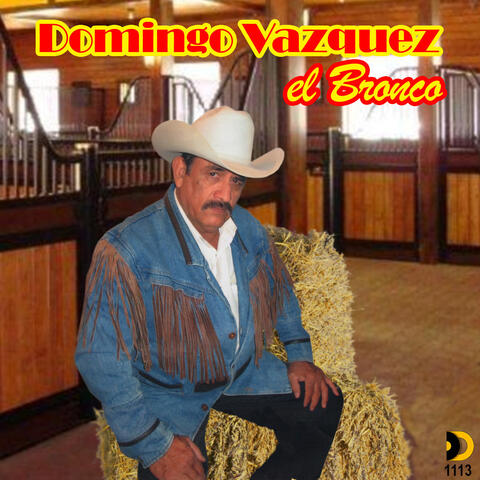 El Bronco album art