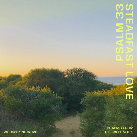 Steadfast Love (Psalm 33) album art