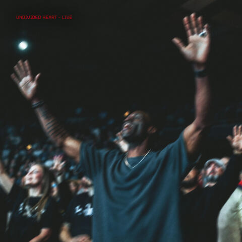 Undivided Heart (Live) album art