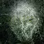 Verdant album artwork