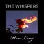 How Long album artwork
