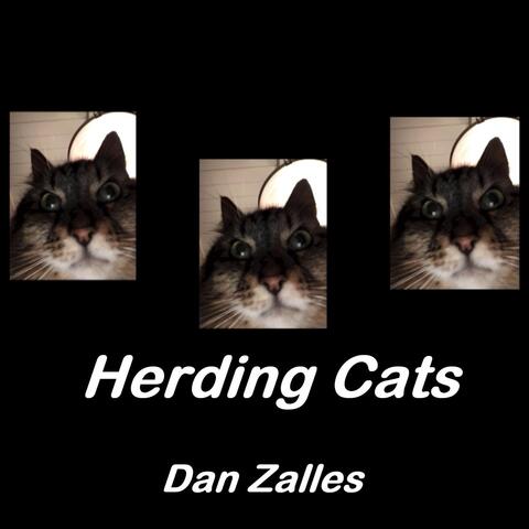 Herding Cats album art
