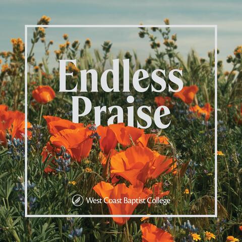 Endless Praise album art