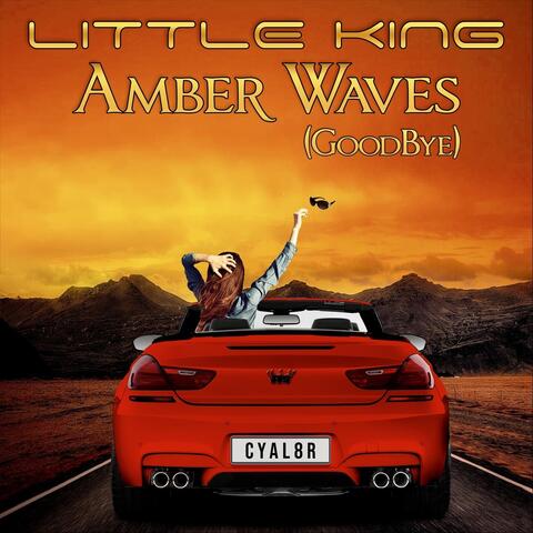 Amber Waves (GoodBye) album art