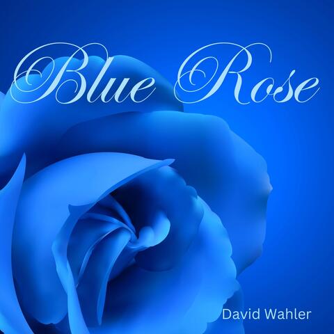 Blue Rose album art