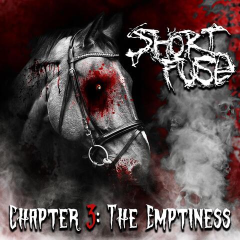 Chapter 3: The Emptiness album art
